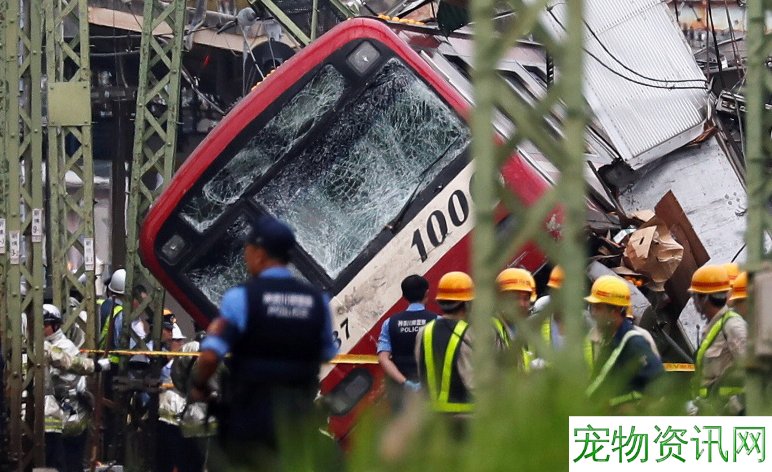 日本宫城县一列火车与一辆家用汽车相撞