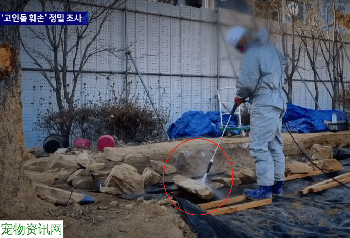 韩国2000年石墓被修复者毁坏。网友怒呼：这世界第一！