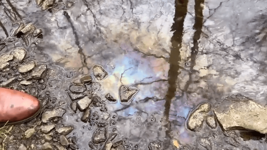 美国议员在俄亥俄州拍照小溪：都是死鱼和死虫 化学物质渗透到地底 